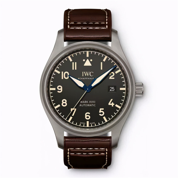 万国腕表停走解决方法深度解析（图）